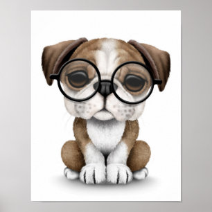 Niedlicher englischer Bulldog Welpe mit Brillen Wh Poster
