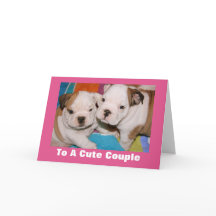 Niedlicher englischer Bulldog Welpen Valentine