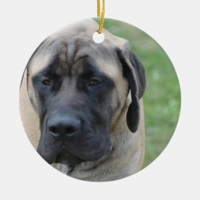 Niedlicher englischer Mastiff Keramik Ornament (Vorne)