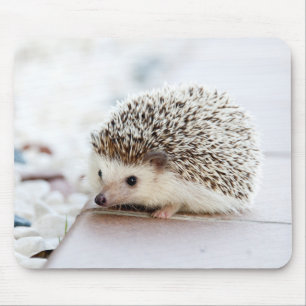 niedlicher entzückender Baby-Igel Mousepad