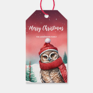 Niedlicher Eule Weihnachtsvogel Party Schneekinder Geschenkanhänger