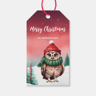 Niedlicher Eule Weihnachtsvogel Party Schneekinder Geschenkanhänger
