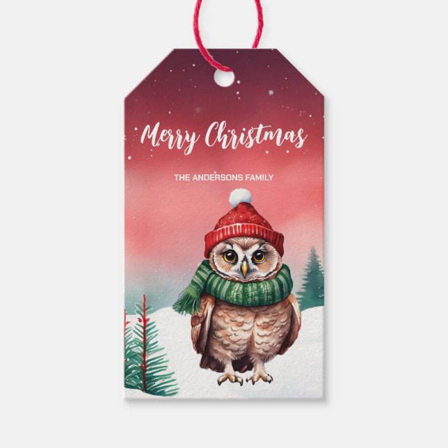 Niedlicher Eule Weihnachtsvogel Party Schneekinder Geschenkanhänger (Vorderseite)