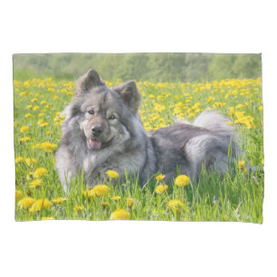 Niedlicher Eurasier Hund in einer Wiese blühende L Kissenbezug