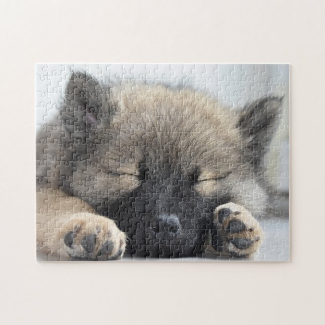Niedlicher Eurasier-Welpe Puzzle (Horizontal)