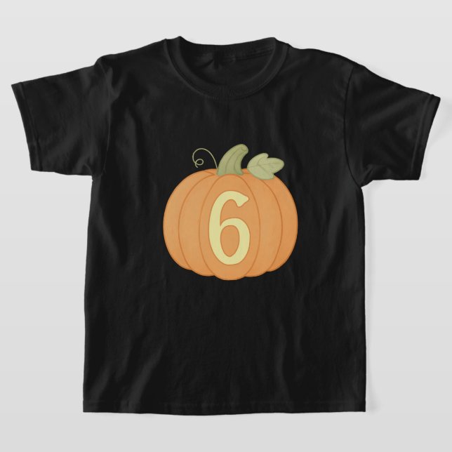 Niedlicher Fall Pumpkin 6. Geburtstag | Halloween- T-Shirt (Ablage )