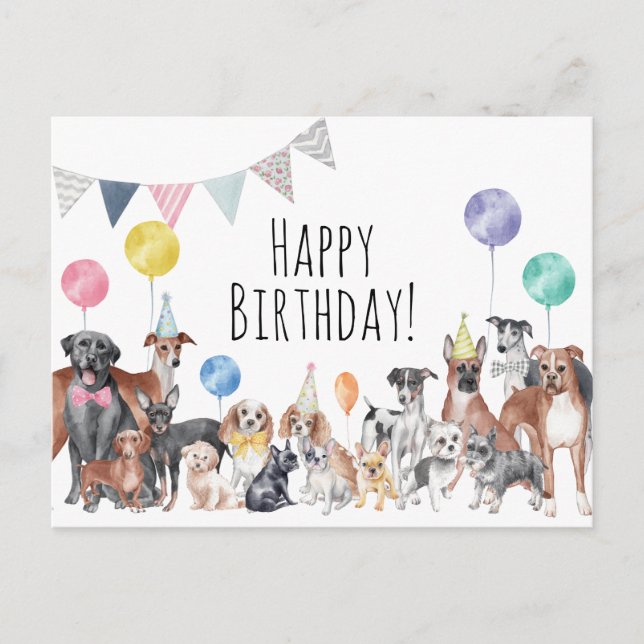 Niedlicher farbiger Hund zum Geburtstag Postkarte (Vorderseite)