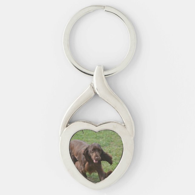 Niedlicher FeldSpaniel Schlüsselanhänger (Vorderseite)