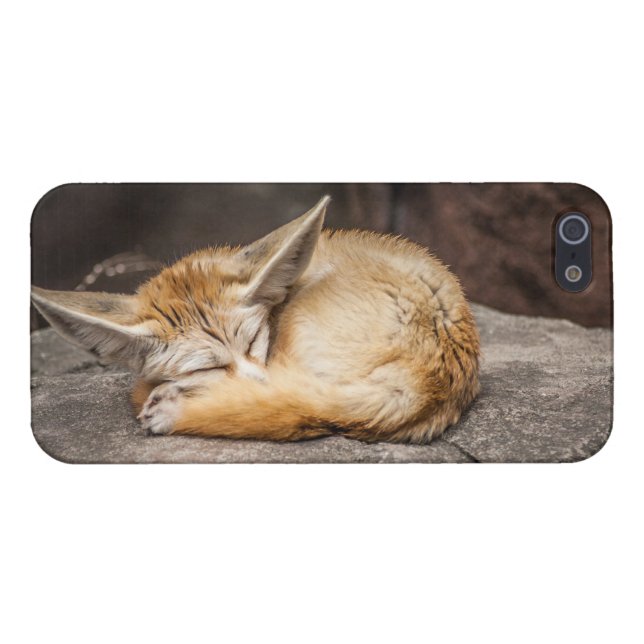 Niedlicher Fennec Fox iPhone Hülle (Rückseite Horizontal)