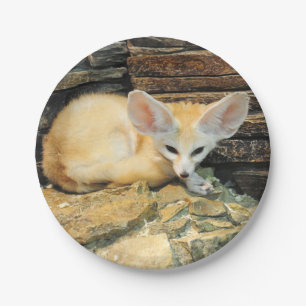 Niedlicher fennec Fuchs Pappteller