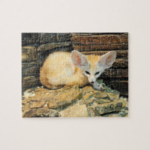 Niedlicher fennec Fuchs Puzzle