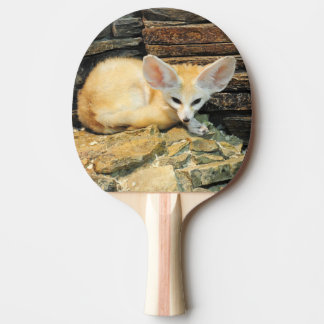 Niedlicher fennec Fuchs Tischtennis Schläger