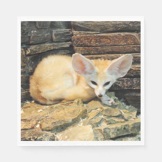 Niedlicher Fennec Serviette (Vorderseite)