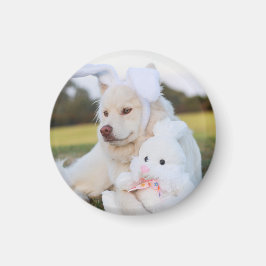 Niedlicher finnischer Lapphund Puppy Magnet