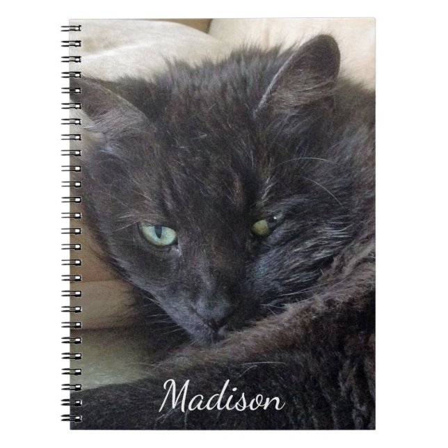 Niedlicher Fluffy Black Cat Foto Personalisiert Na Notizblock (Vorderseite)