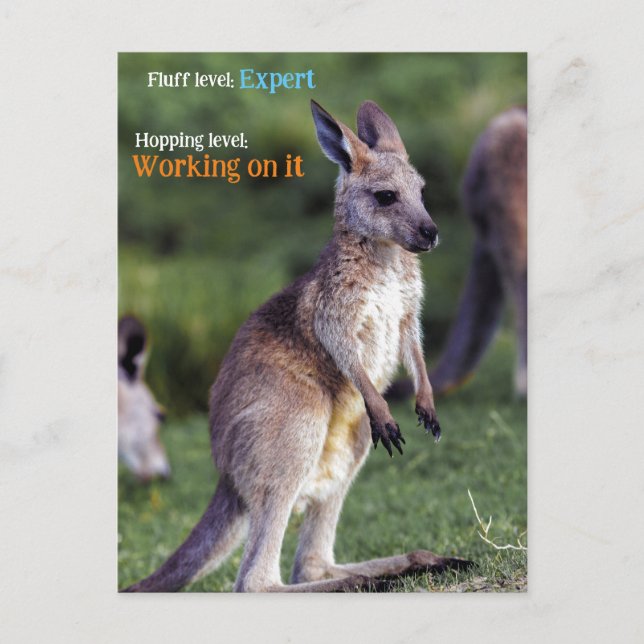 Niedlicher Fluffy Kangaroo Feiertagspostkarte (Vorderseite)