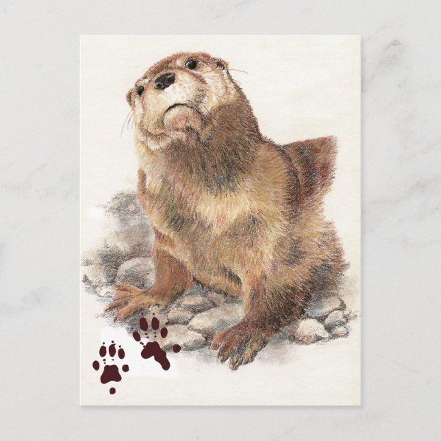 Niedlicher Fluss Otter, Tier und Tracks, Natur Postkarte (Vorderseite)