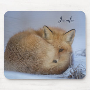 Niedlicher Fox hat das Foto im Winter aufgerissen Mousepad