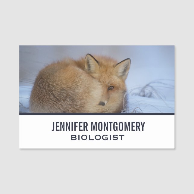 Niedlicher Fox hat das Foto im Winter aufgerissen Namensschild (Vorderseite)