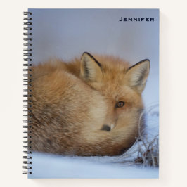 Niedlicher Fox hat das Foto im Winter aufgerissen Notizbuch