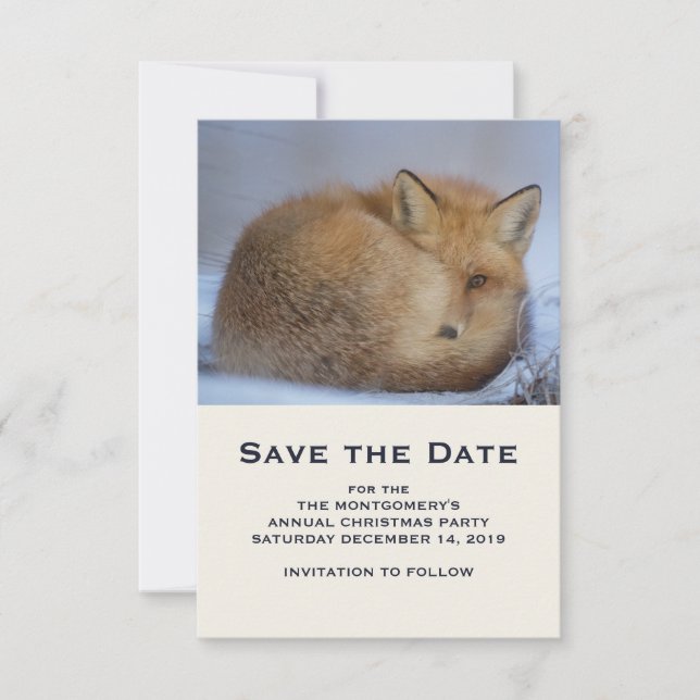 Niedlicher Fox hat das Foto im Winter aufgerissen Save The Date (Vorderseite)