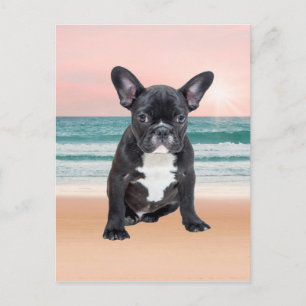 Niedlicher französischer Bulldog Beach Postkarte
