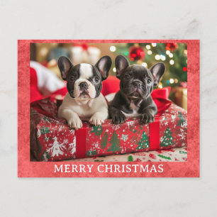 Niedlicher französischer Bulldog Frohe Weihnachten Postkarte