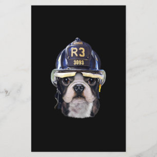 Niedlicher französischer Bulldog-Kampfhelm Flyer