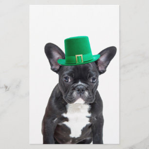 Niedlicher französischer Bulldog mit Hat St. Patri Briefpapier