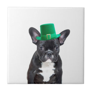 Niedlicher französischer Bulldog mit Hat St. Patri Fliese