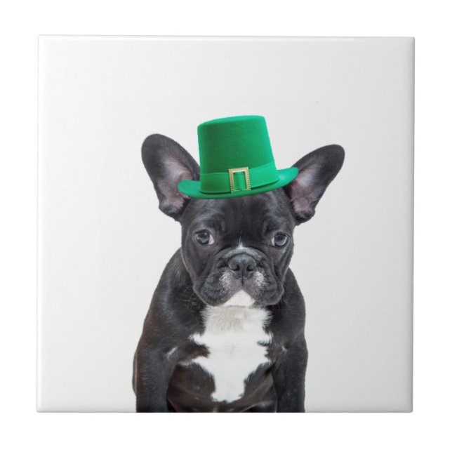Niedlicher französischer Bulldog mit Hat St. Patri Fliese (Vorderseite)