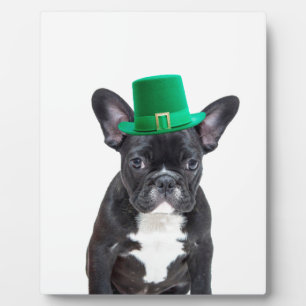 Niedlicher französischer Bulldog mit Hat St. Patri Fotoplatte