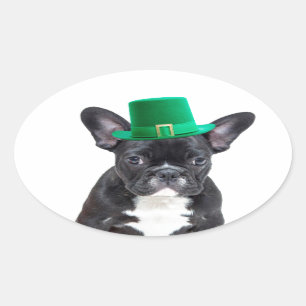 Niedlicher französischer Bulldog mit Hat St. Patri Ovaler Aufkleber