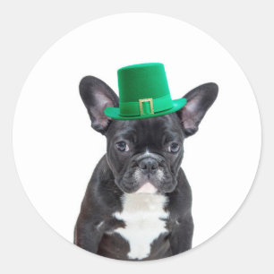 Niedlicher französischer Bulldog mit Hat St. Patri Runder Aufkleber