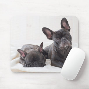 Niedlicher französischer Bulldog Mousepad