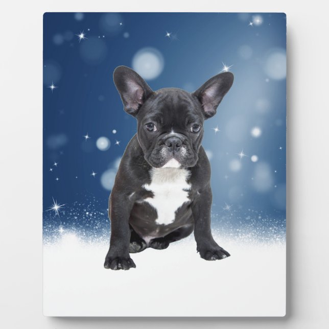 Niedlicher französischer Bulldog Snow Stars Fotoplatte (Vorderseite)
