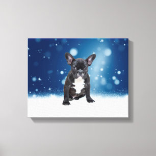 Niedlicher französischer Bulldog Snow Stars Leinwanddruck
