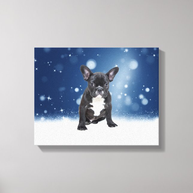 Niedlicher französischer Bulldog Snow Stars Leinwanddruck (Vorderseite)