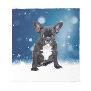 Niedlicher französischer Bulldog Snow Stars Notizblock