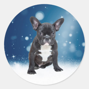 Niedlicher französischer Bulldog Snow Stars Runder Aufkleber