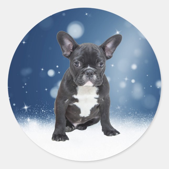 Niedlicher französischer Bulldog Snow Stars Runder Aufkleber (Vorderseite)