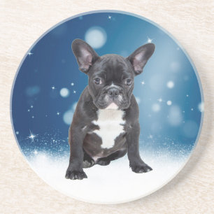 Niedlicher französischer Bulldog Snow Stars Sandstein Untersetzer
