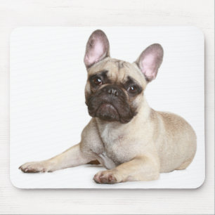 Niedlicher französischer Bulldog Welpe Hund Mouse Mousepad