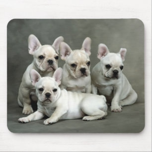 Niedlicher französischer Bulldog Welpe Hund Mouse Mousepad