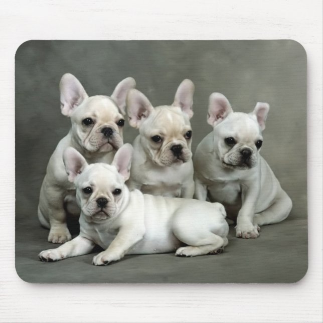 Niedlicher französischer Bulldog Welpe Hund Mousep Mousepad (Vorne)