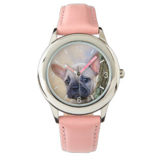 Niedlicher französischer Bulldog Welpe in einer Z Armbanduhr