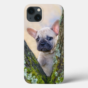 Niedlicher französischer Bulldog Welpe in einer Zw Case-Mate iPhone Hülle