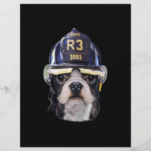 Niedlicher französischer Bulldogge, der einen Feue Flyer