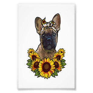 niedlicher französischer Bulldogge Sonnenblumende Fotodruck
