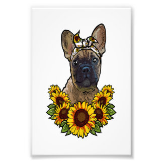 niedlicher französischer Bulldogge Sonnenblumendek Fotodruck